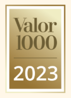 Valor 1000